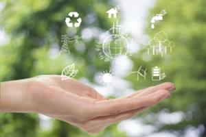 sustainable development