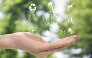 sustainable development