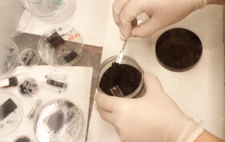 3D Strong additive CNT