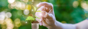 Hand clicks on sprout in the bulb. Green energy concept