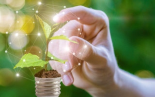 Hand clicks on sprout in the bulb. Green energy concept