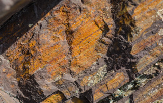 Rich results on Google’s SERP when searching for ‘West Balkan mineral resources‘