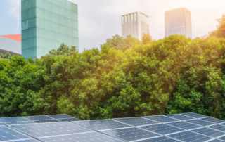 Rich results on Google’s SERP when searching for ‘circular economy policy